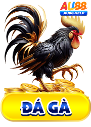 đá gà